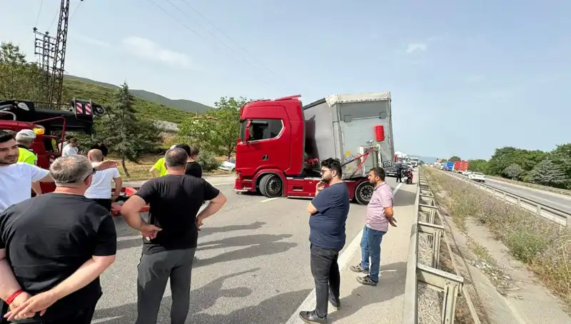 Seyir Halindeyken Arı Soktu, Trafik Kilitlendi: Şok Edici Anlar!