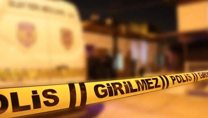 Diyarbakır'da Kayınpeder Dehşeti: Aile İçi Şiddette Çarpıcı Vaka