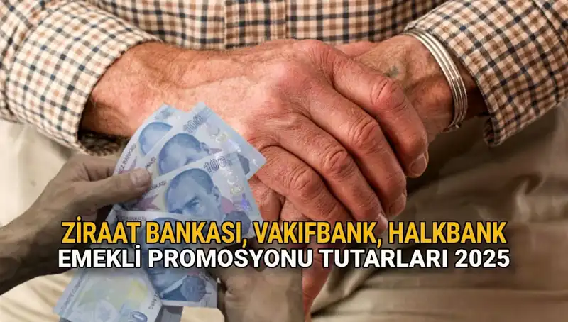 2025’te Emeklileri Bekleyen Banka Promosyonu Fırsatları: Ziraat, Vakıfbank, Halkbank