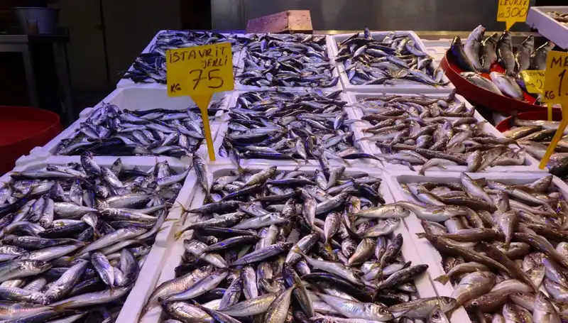 Balık Sezonu Sona Eriyor: Hangi Türlerin Şansı Kalmadı?