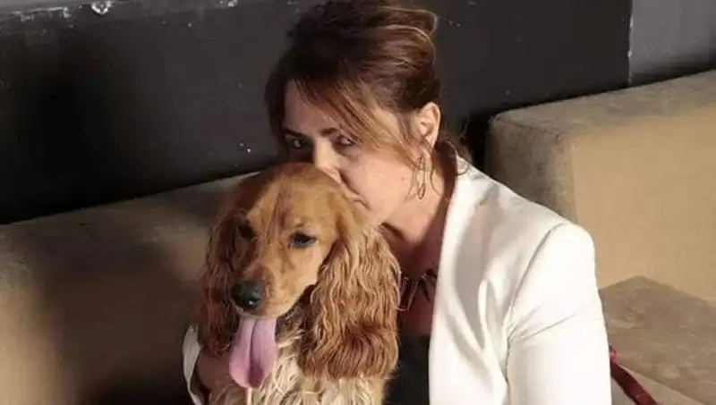 Hayvansever Gazetecinin Acil Durumu: Can Dostları Sahiplenmeyi Bekliyor