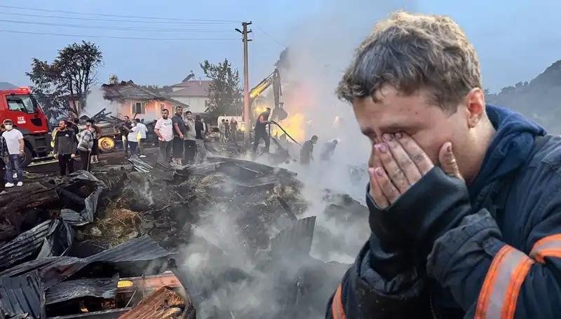 Çamyurdu Köyü'nü Yakan Yangında Yüzlerce Hayat Mağdur Oldu